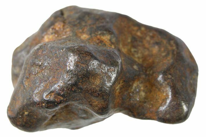 Sericho Pallasite Meteorite ( g) Metal Skeleton #267137